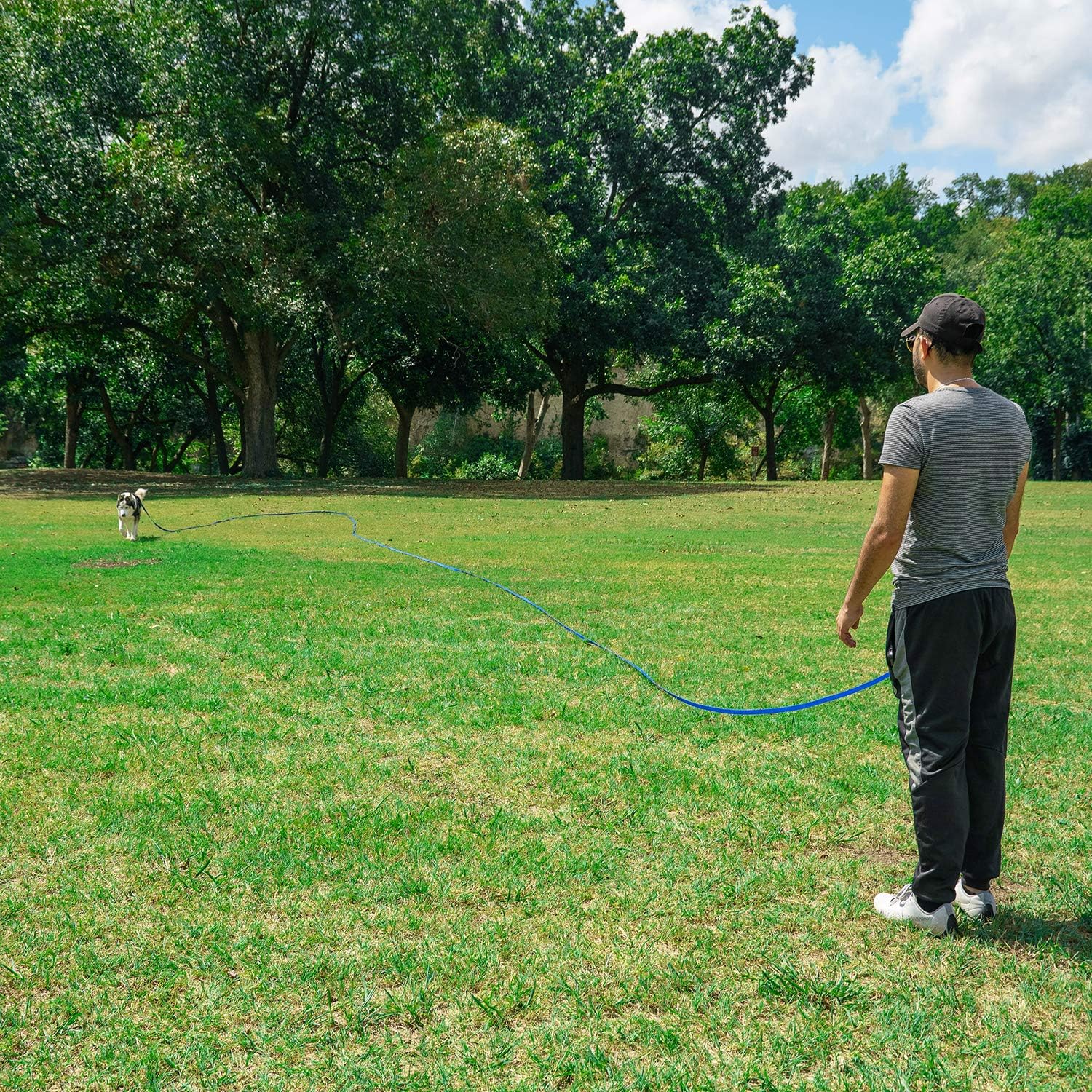 Hi Kiss Dog/Puppy Obedience Recall Training Agility Lead - 15ft 20ft 3