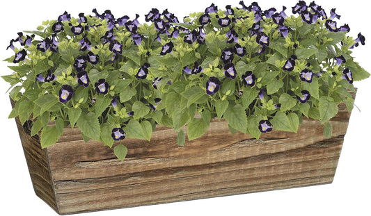 Classic Home & Garden Wood Window Box - Handled Buffalo Brown