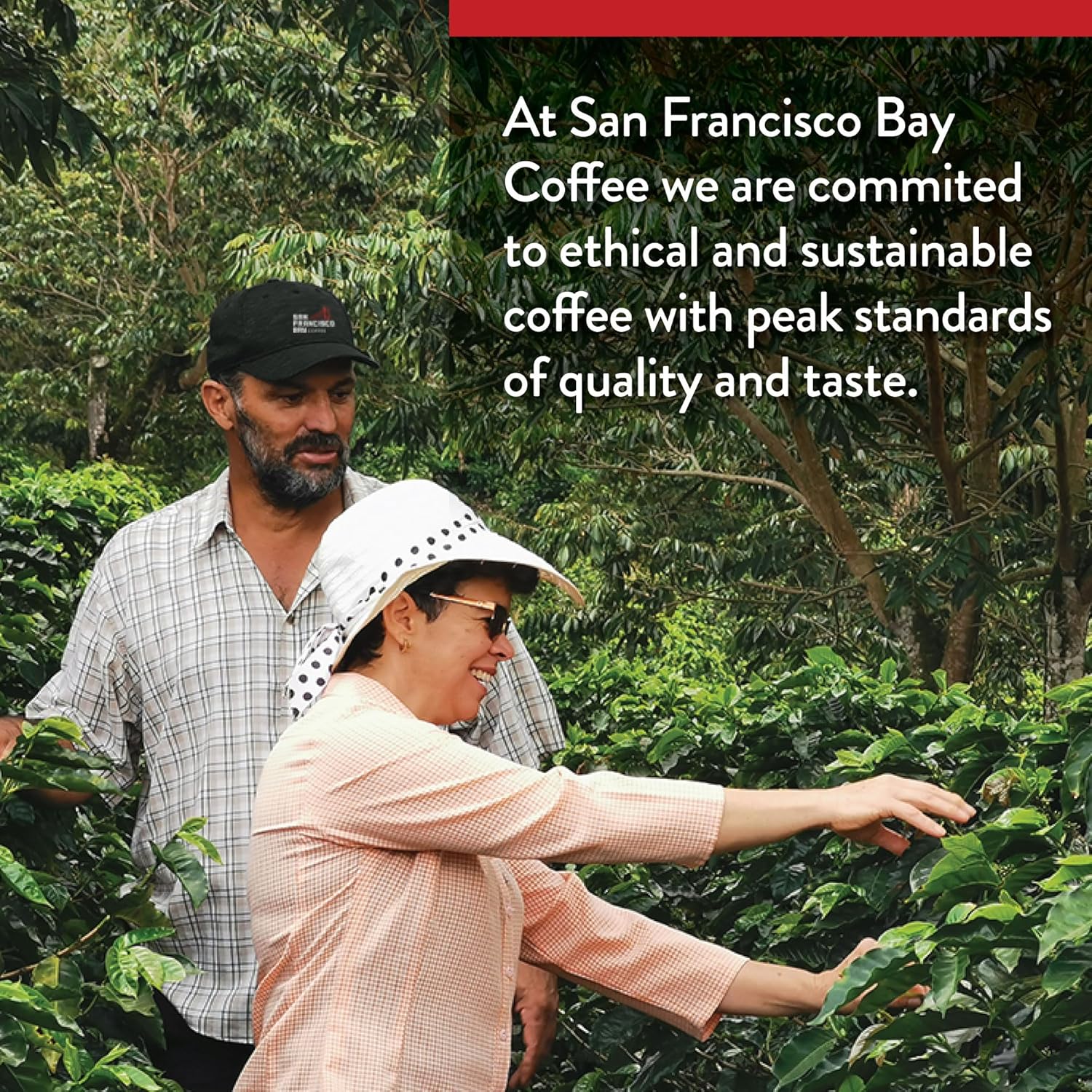 San Francisco Bay Coffee - Dark Roast - French Roast (80 ct) - Single 