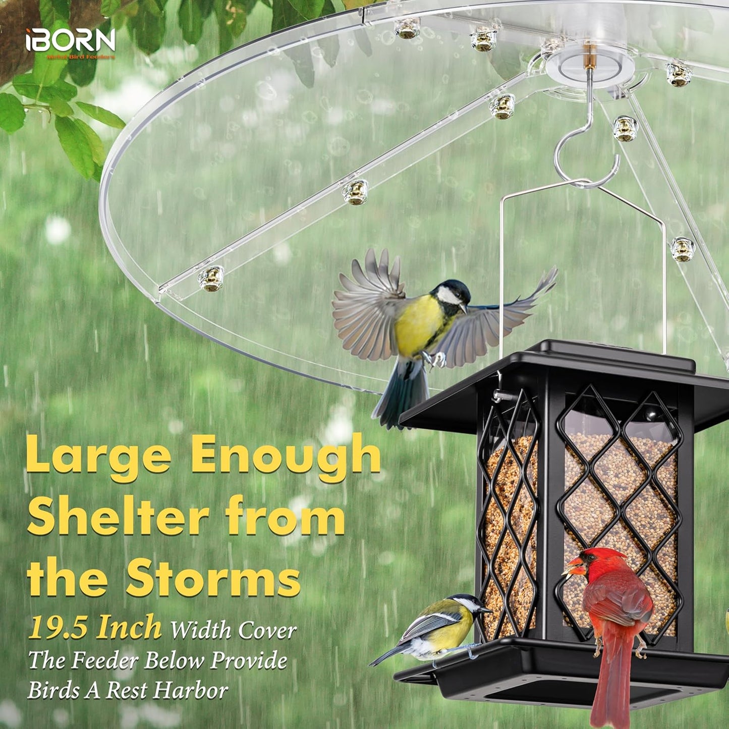iBorn Baffles for Bird Feeders, 19.5” Oversized Bird Feeder Cover for Rain Guard, Birds Feeders Squirrel Guard, Full Protection for Outdoors, Polycarbonate(PC), Pack of 1, Transparent