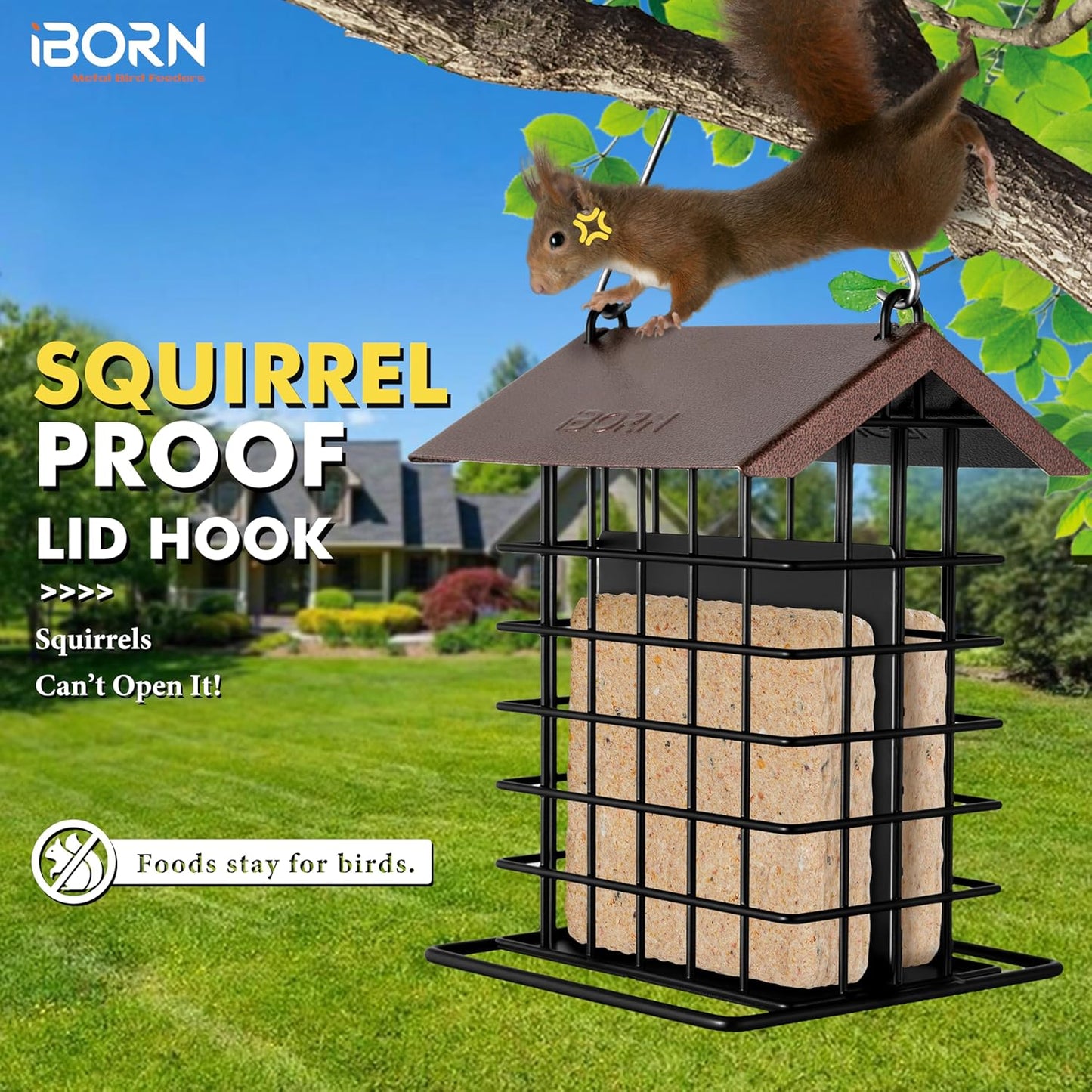 iBorn Suet Feeder for Outside Hanging,Suet Bird Feeders for Outdoors,S