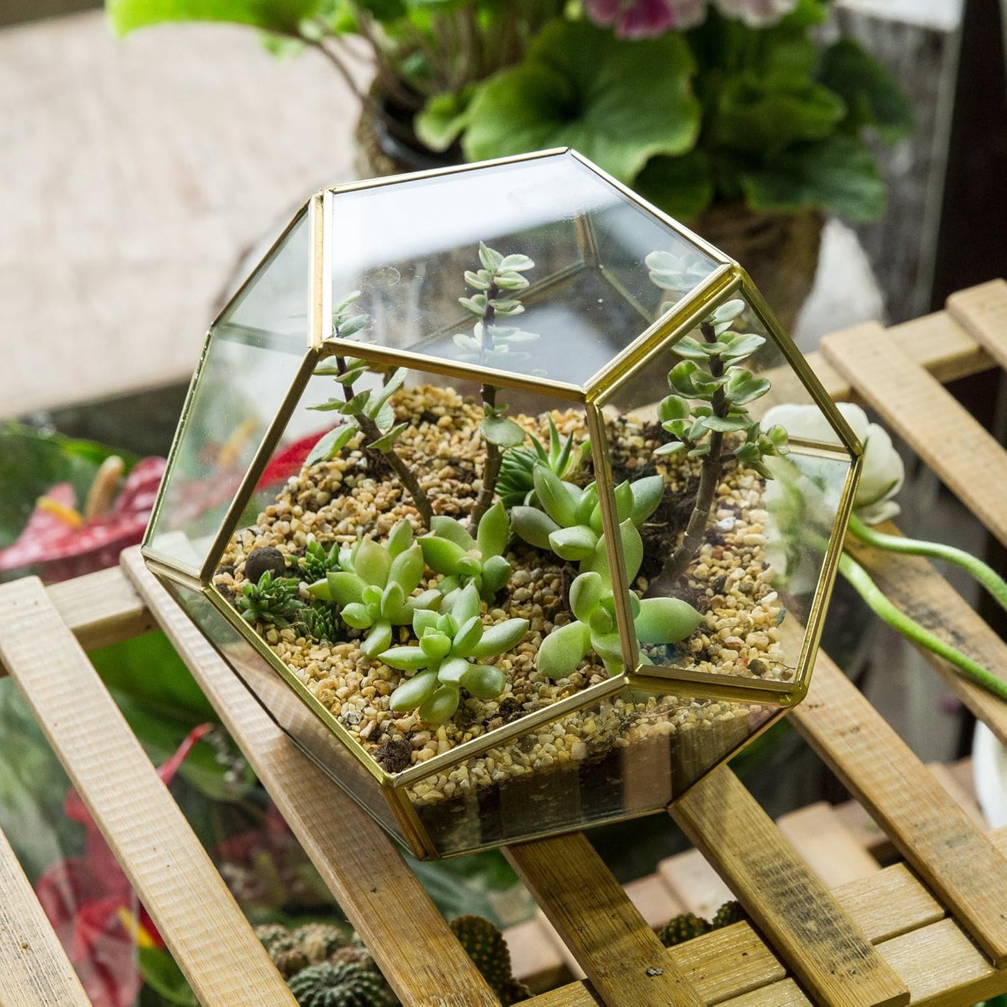 NCYP No Door Glass Terrarium for Small Cactus, Succulents - Gold Geometric Planter Pot, Home Office Tabletop Miniature Garden Decor, 6.89 x 6.89 x 5.9 Inches, Handmade (No Plants)