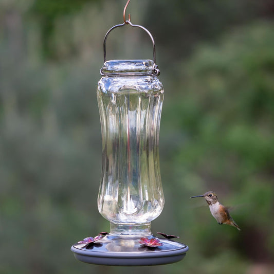 Perky-Pet Starglow Vintage Glass Hummingbird Feeder - 16 fl oz capacit