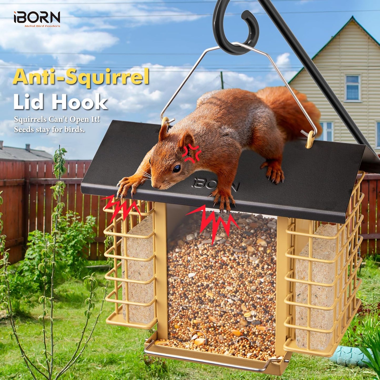 iBorn Bird Feeders for Outdoors,Bird Feeder with Double Suet Holders,S