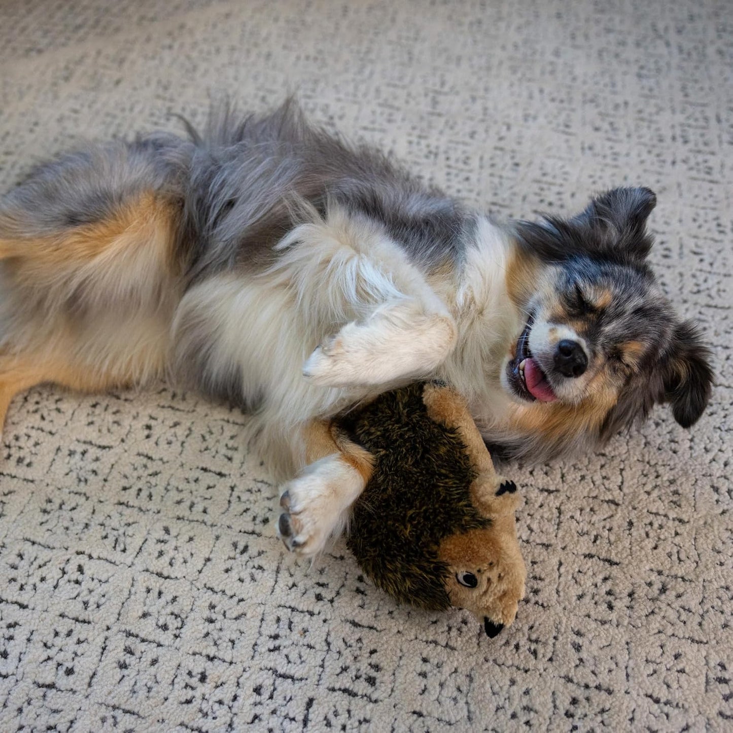 Outward Hound Hedgehogz Stuffed Dog Toy – Soft Plush Hedgehog, Grunts 