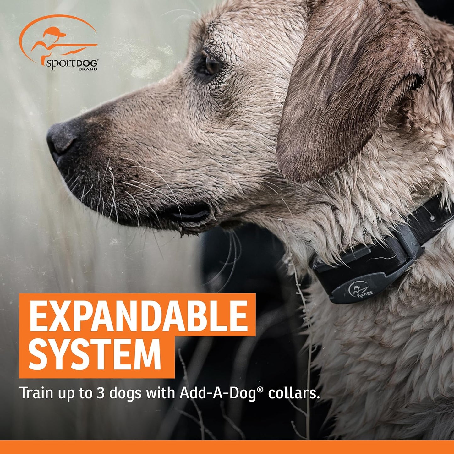 SportDOG SportHunter 825X - Remote Training Collar - Half-Mile Range T