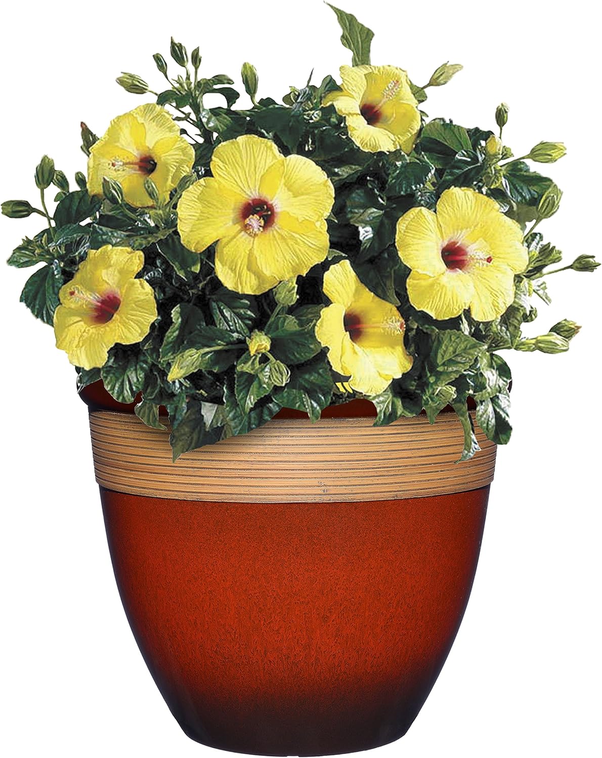 Classic Home and Garden Premiere Collection Planter, Abigail 15", Lava