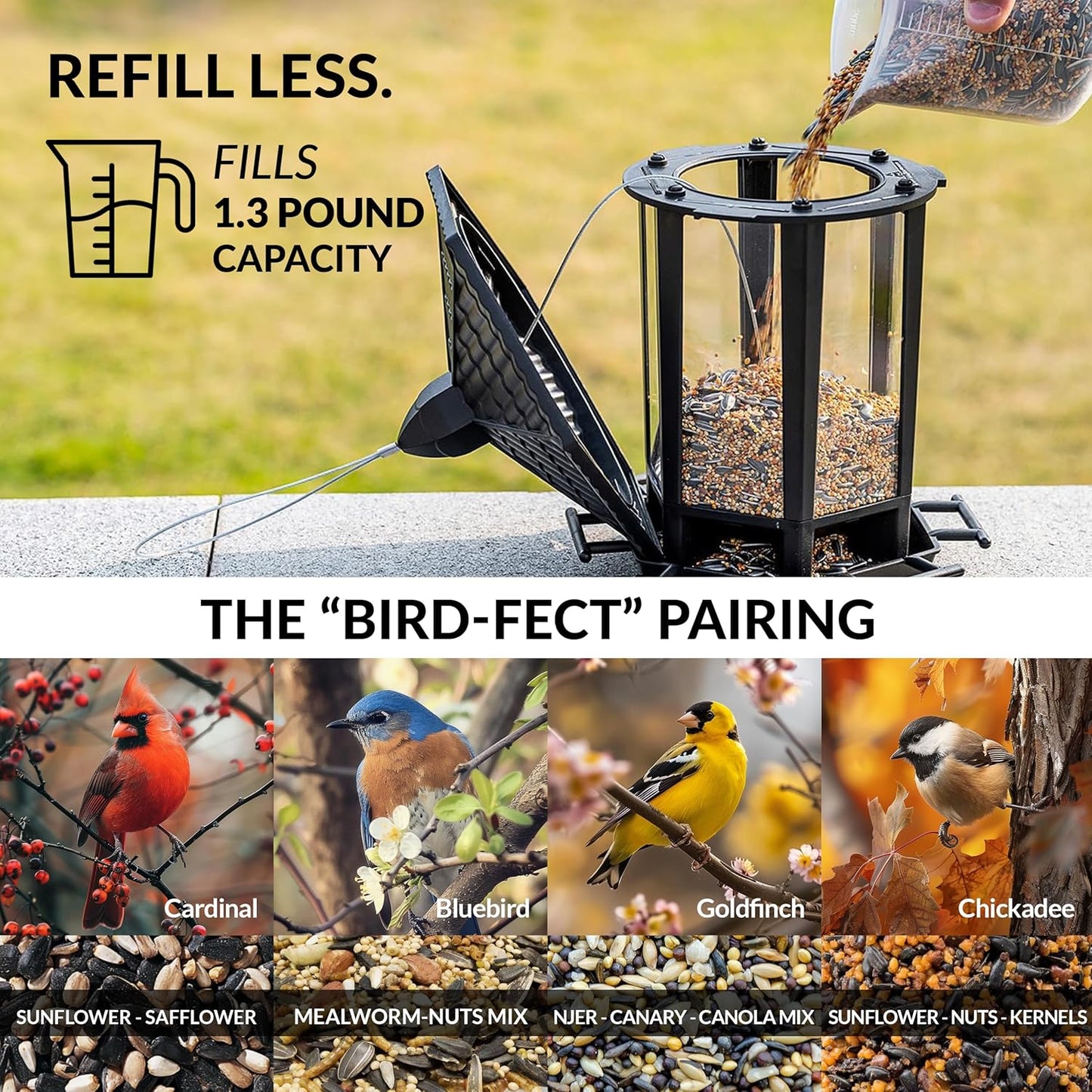 Good Directions T03P Castella Bird Feeder, Polished Copper