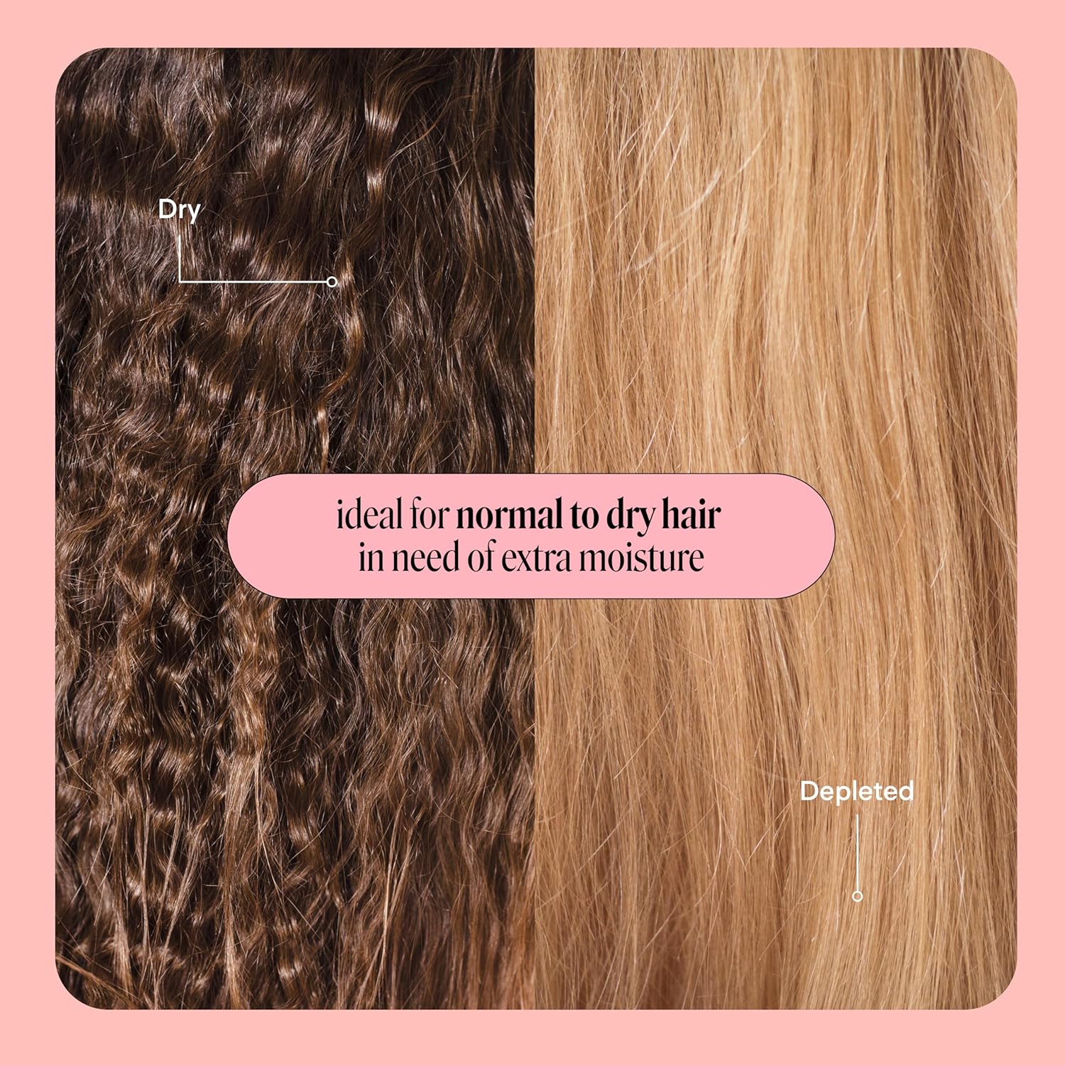 MONDAY HAIRCARE Moisture Shampoo + Conditioner Set for Dry, Coarse, St