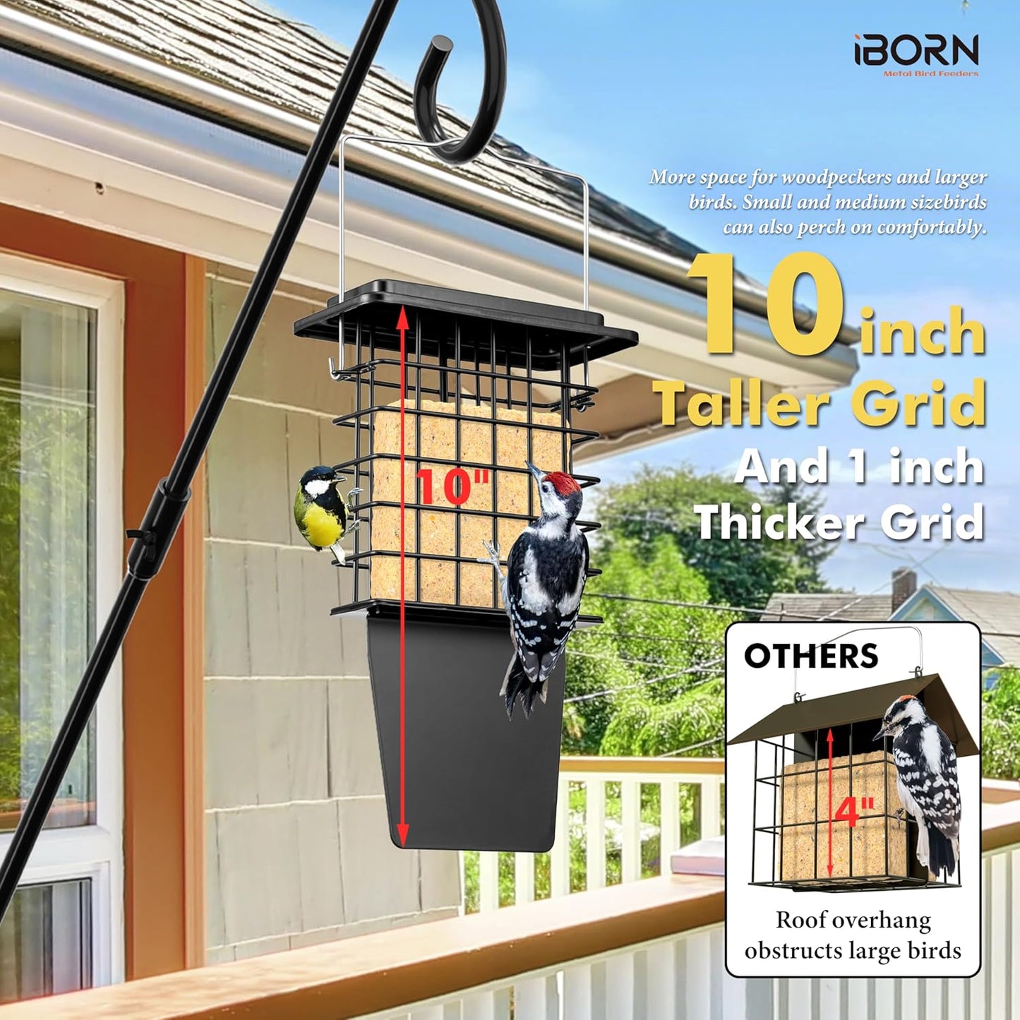 iBorn Metal Suet Feeder with Tail Prop | Durable Suet Cake Cage Bird Feeder for Outdoors，Woodpecker Feeder for Outside Hanging，Heavy-Duty Suet Holder,Easy Clean & Refill,1 Pack,Black