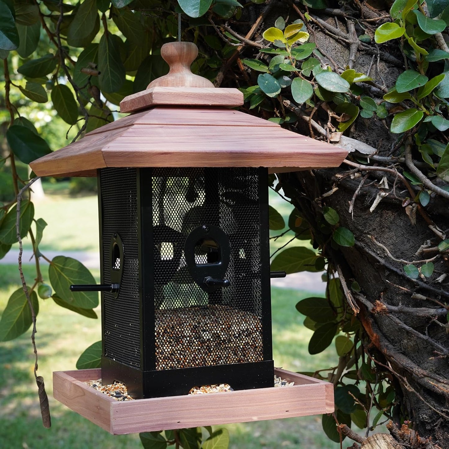 Cedar & Metal Mesh Bird Feeder for Outdoors Hanging Mount Large Capaci
