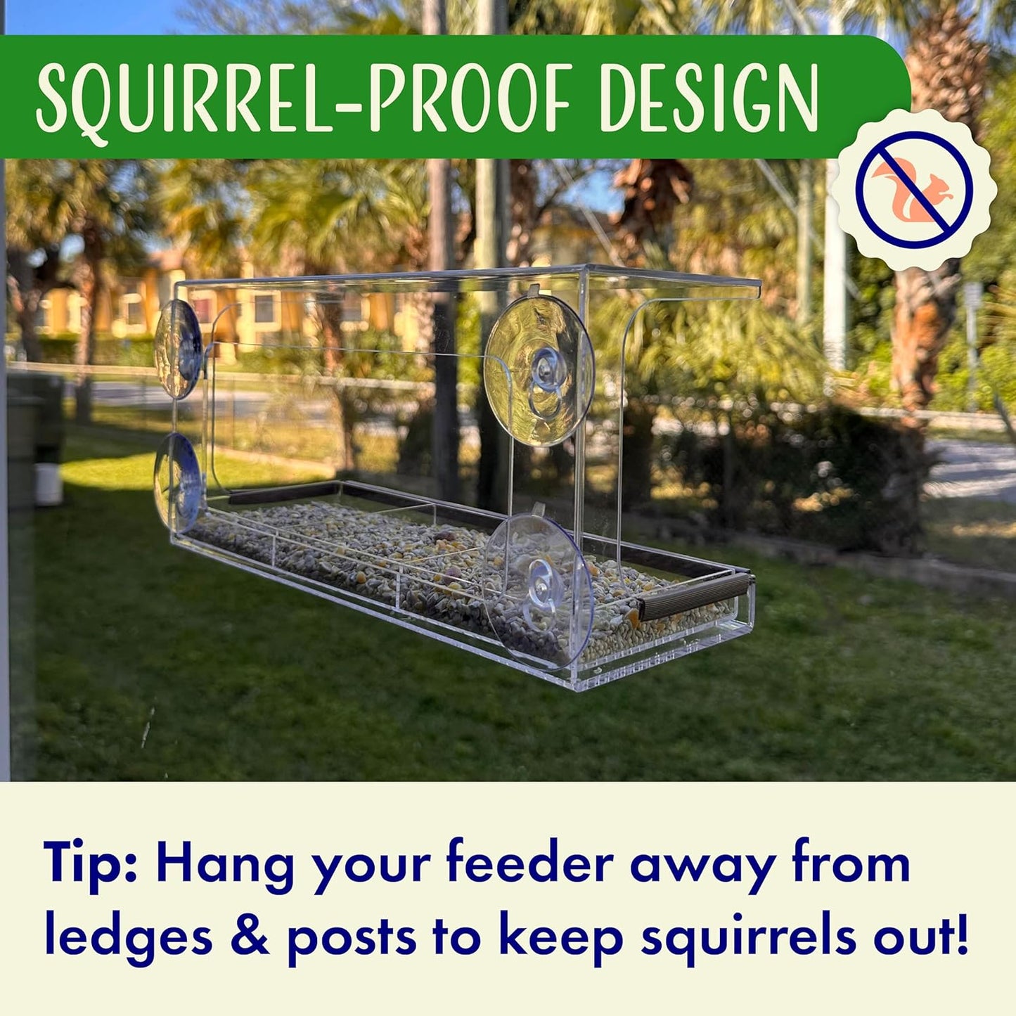 Clear Window Bird Feeder - Sturdy & Easy to Install with Strong Suction Cups-Detachable Design for Effortless Cleaning-Perfect Wildlife Watching by Cats, Kids & Elderly-Window Bird Feeders for Outside