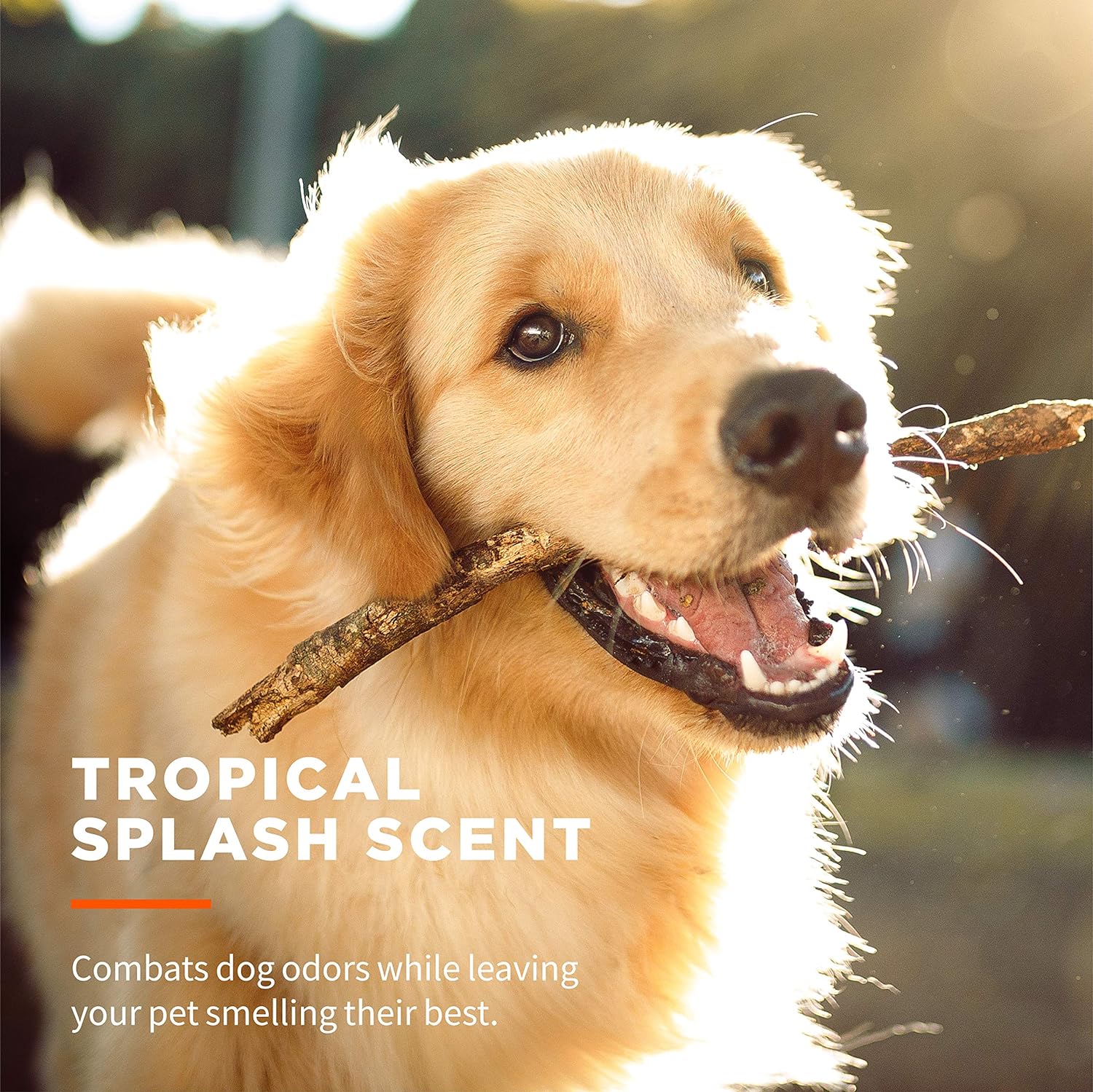 Wet Ones for Pets Paw & Tushie Dog Wipes with Chamomile, Tropical Spla