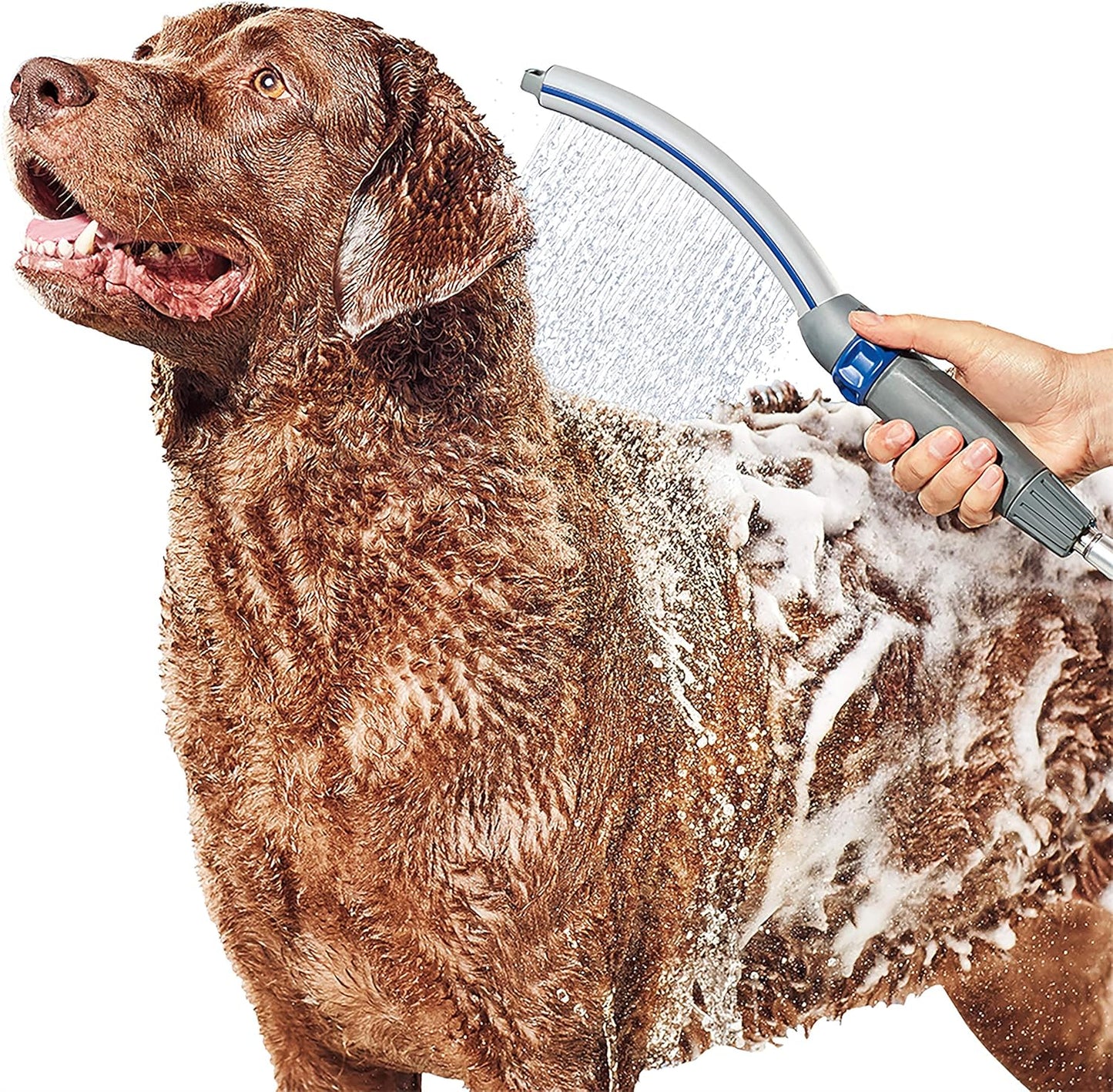 Waterpik Pet Wand Pro Dog Shower Attachment for Fast and Easy Dog Bath