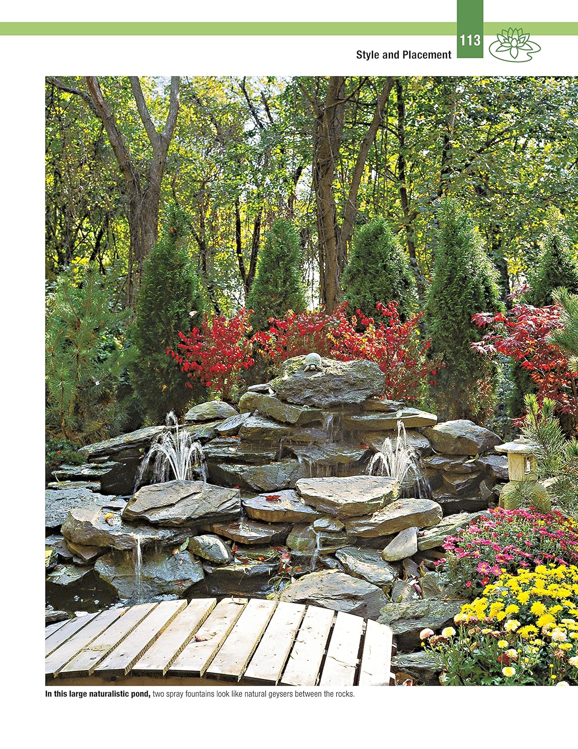 DIY Guide to Ponds, Fountains, Rain Gardens & Water Features, Revised 