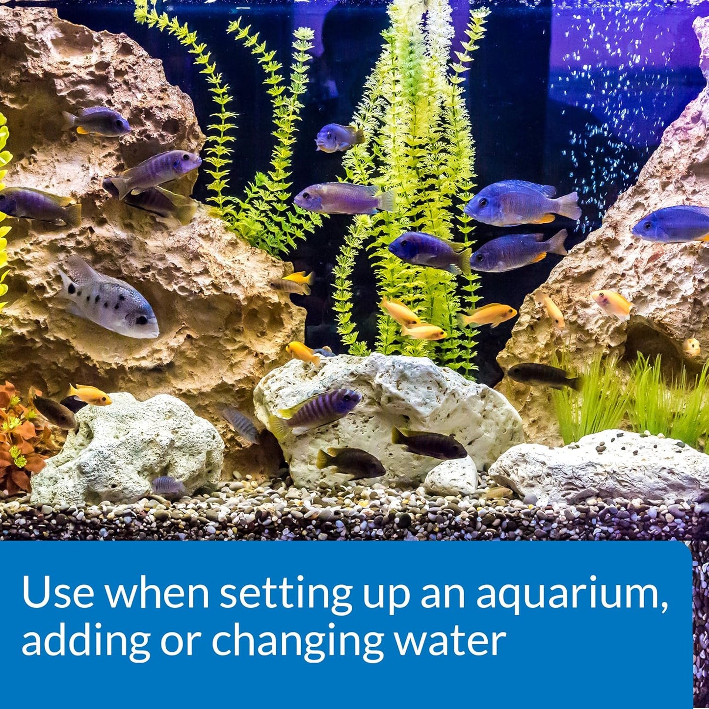 API Fishcare 52Q API TAP Aquarium Water Conditioner 32-Ounce Bottle