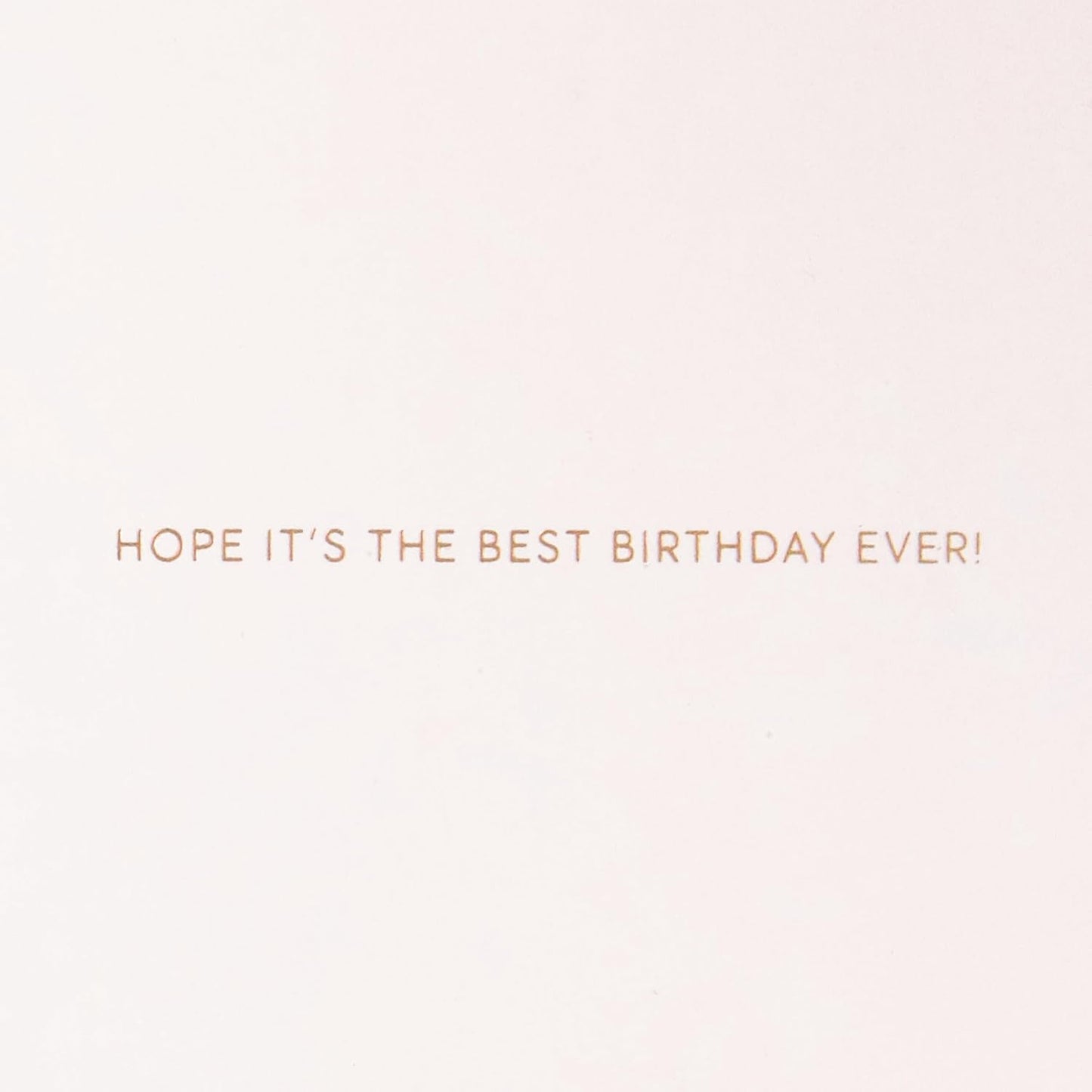 Hallmark Signature Birthday Card (Best Birthday Ever)