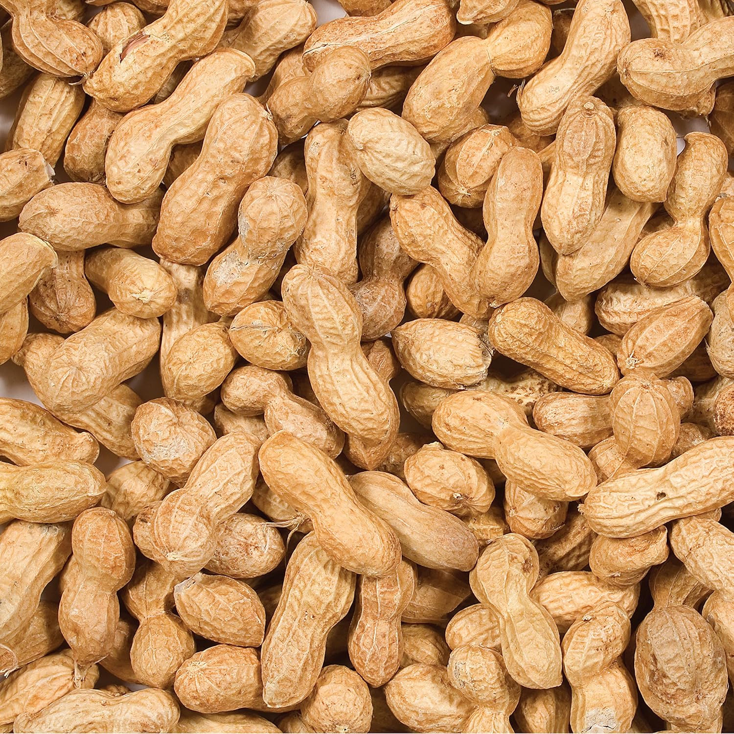 Wild Delight Inshell Peanuts, 5 lb and Wagner's Farmer's Delight Wild 