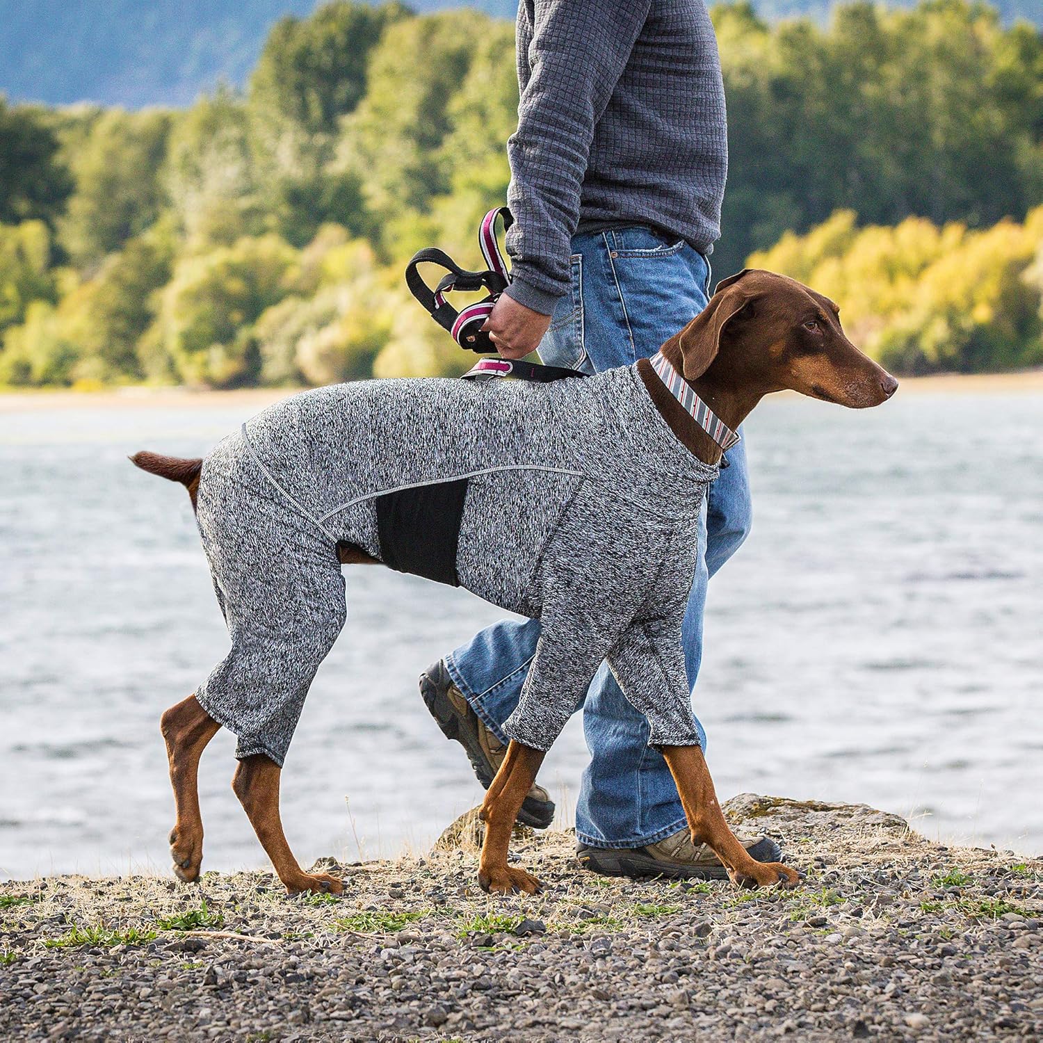 Kurgo Stowe Base Layer - Comfortable, Cold-Weather Pet Wear - Breathab