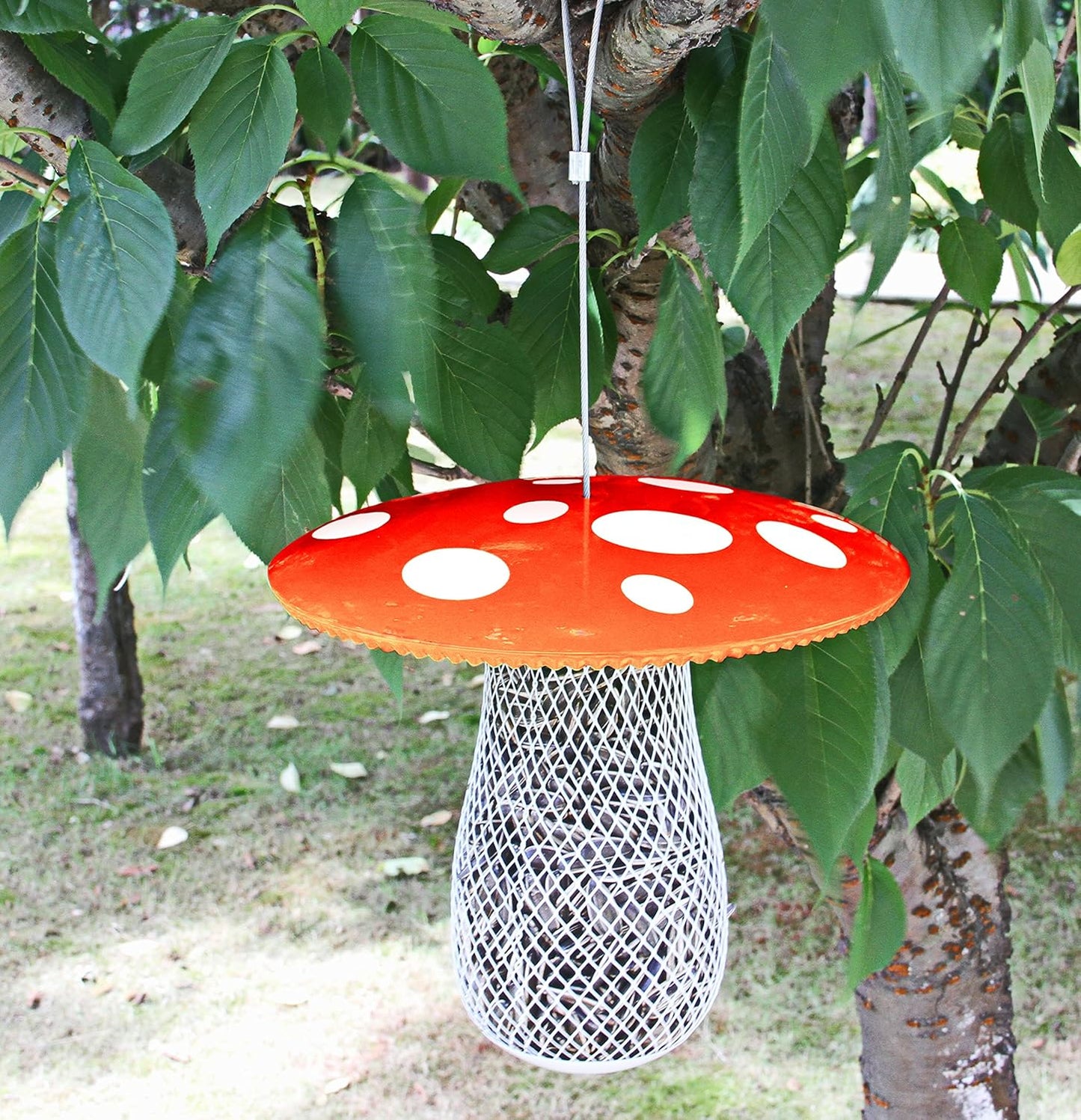 The Best Wild Bird Feeder to Attract More Wild Birds, Fill it with Sunflower Black Oil Seeds, Peanuts and Suet Pellets Easy to Install, Clean & Fill