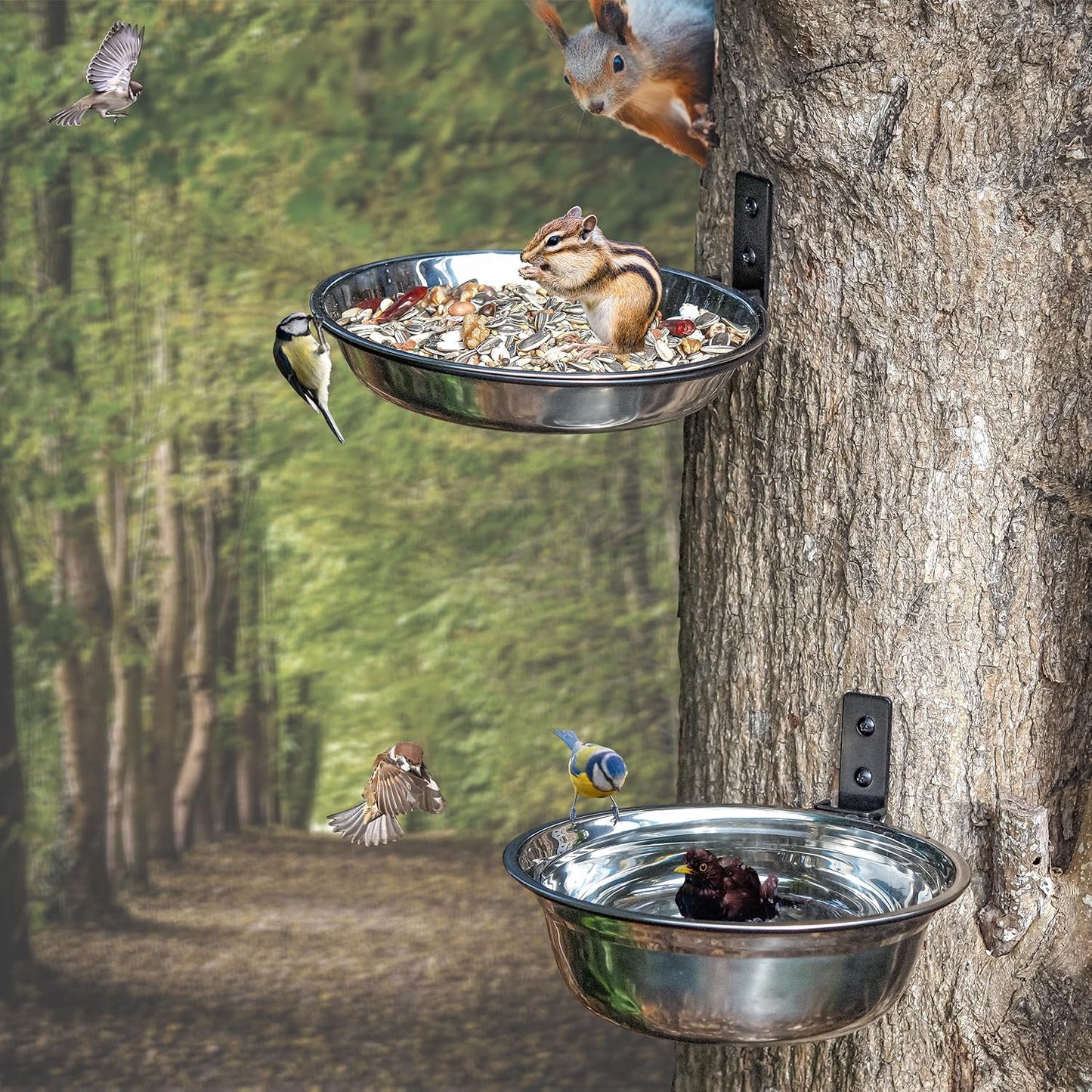 2 Pack 8 Inch Bird Feeders and Squirrel Feeder Outside Hanging Tree Mounted Bird Feeding Station with Water Bowl for Wall Mounted, Stainless Steel Bowl for Outdoor Fence, Deck