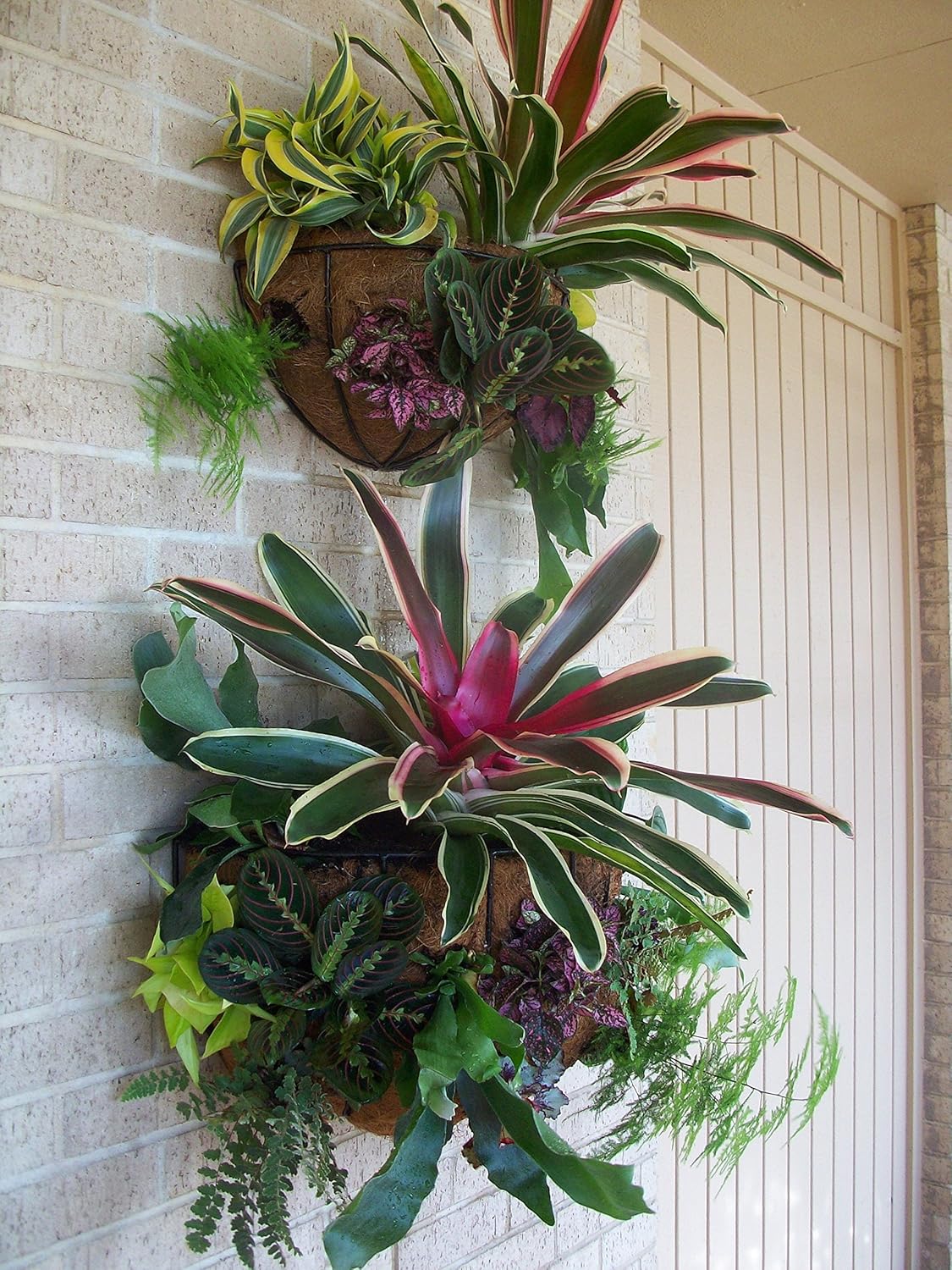 Home-organizer Tech Semicircular Hanging Planter Plants Hanging Basket
