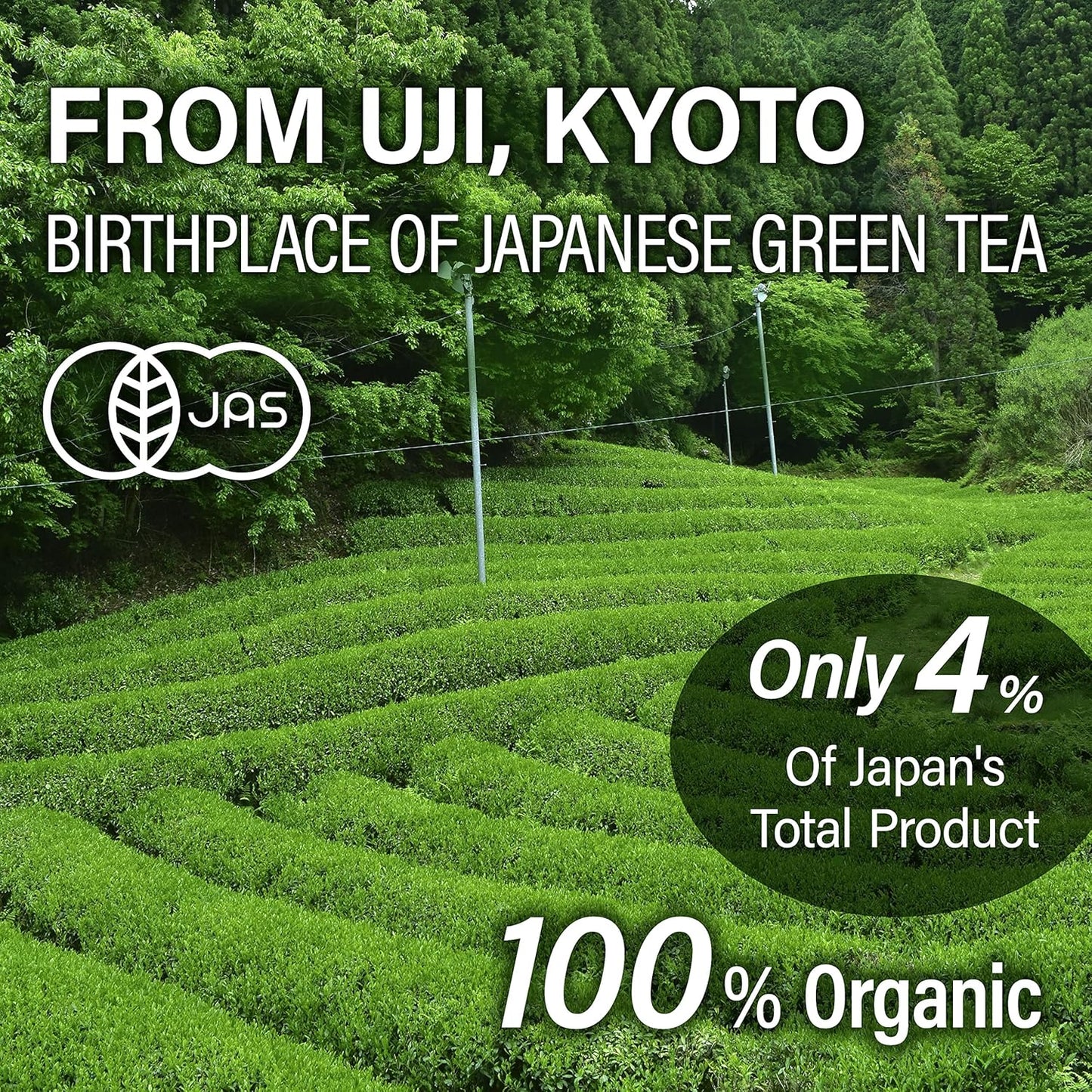 Chaganju Sencha 녹차 루즈 리프, 교토 우지의 JAS 인증 유기농 일본 차, 80g 백, 센차 차, 루즈 리프