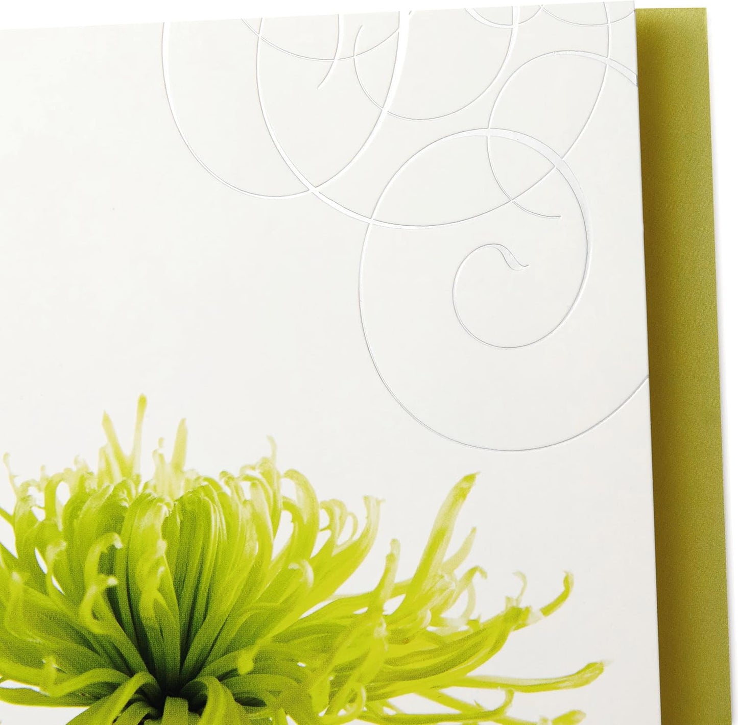 Hallmark Assorted Sympathy Cards (Flowers, 12 Cards and Envelopes)